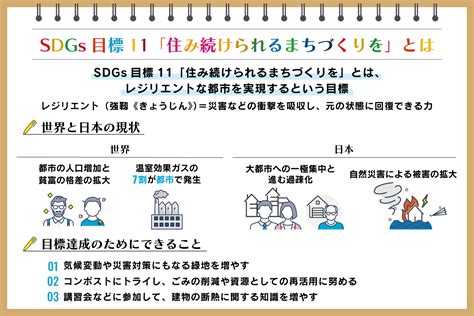 sdgs11 取り組み事例 世界|SDGs目標11 住み続けられるまちづくりをを解説｜世 